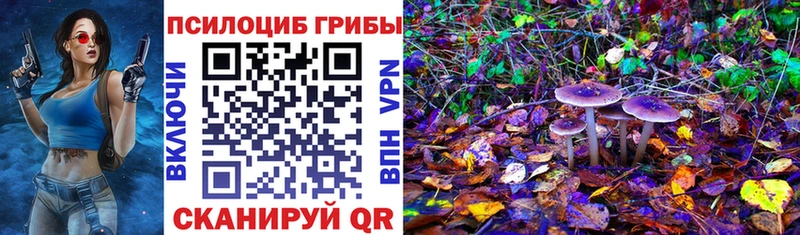 мориарти Telegram Игарка Галлюциногенные грибы Psilocybe цены